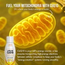 liquid-coq10-120mg-of-bioavailable-ubiqu-6.jpg