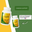 rachels-tea-and-candida-support-30-day-s-4.jpg