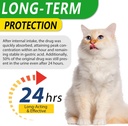 antibiotics-for-cats-natural-antibiotic--2.jpg