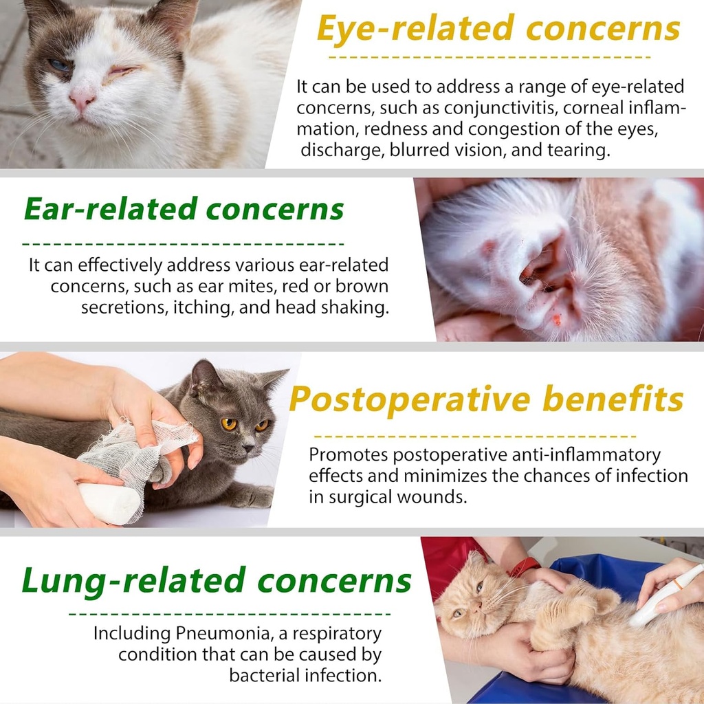 antibiotics-for-cats-natural-antibiotic--4.jpg