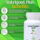 gout-and-you-nutrigout-plus---uric-acid--2.jpg