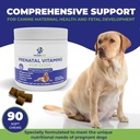 dog-prenatal-vitamins---supports-healthy-5.jpg