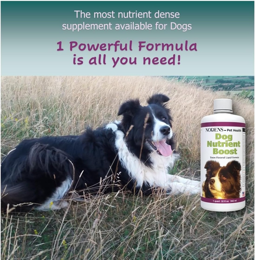multi-vitamin-liquid-for-dogs-probiotics-2.jpg
