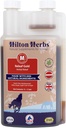 hilton-herbs-releaf-gold-herbal-mobility-2.jpg