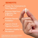 ast-enzymes-digest-gi-digestive-enzyme---4.jpg