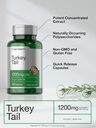 horbaach-turkey-tail-mushroom-capsules-1-4.jpg