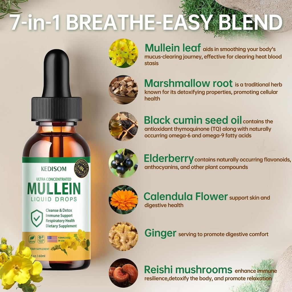 7-in-1-mullein-drops-for-lungs-2-fl-oz---4.jpg
