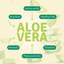 aloe-life---stomach-plus-formula-fast-ac-6.jpg