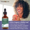 herb-lore-organic-alfalfa-leaf-tincture--3.jpg