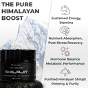 shilajit-authentic-himalayan-shilajit-re-3.jpg
