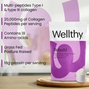 wellthy-collagen-peptides-protein-powder-2.jpg