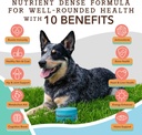natural-dog-company-multivitamin-liver-k-4.jpg