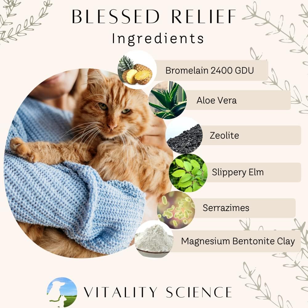 vitality-science-blessed-relief-for-cats-3.jpg