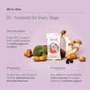 tend-daily-best-prenatal-vitamin-bar-mad-6.jpg