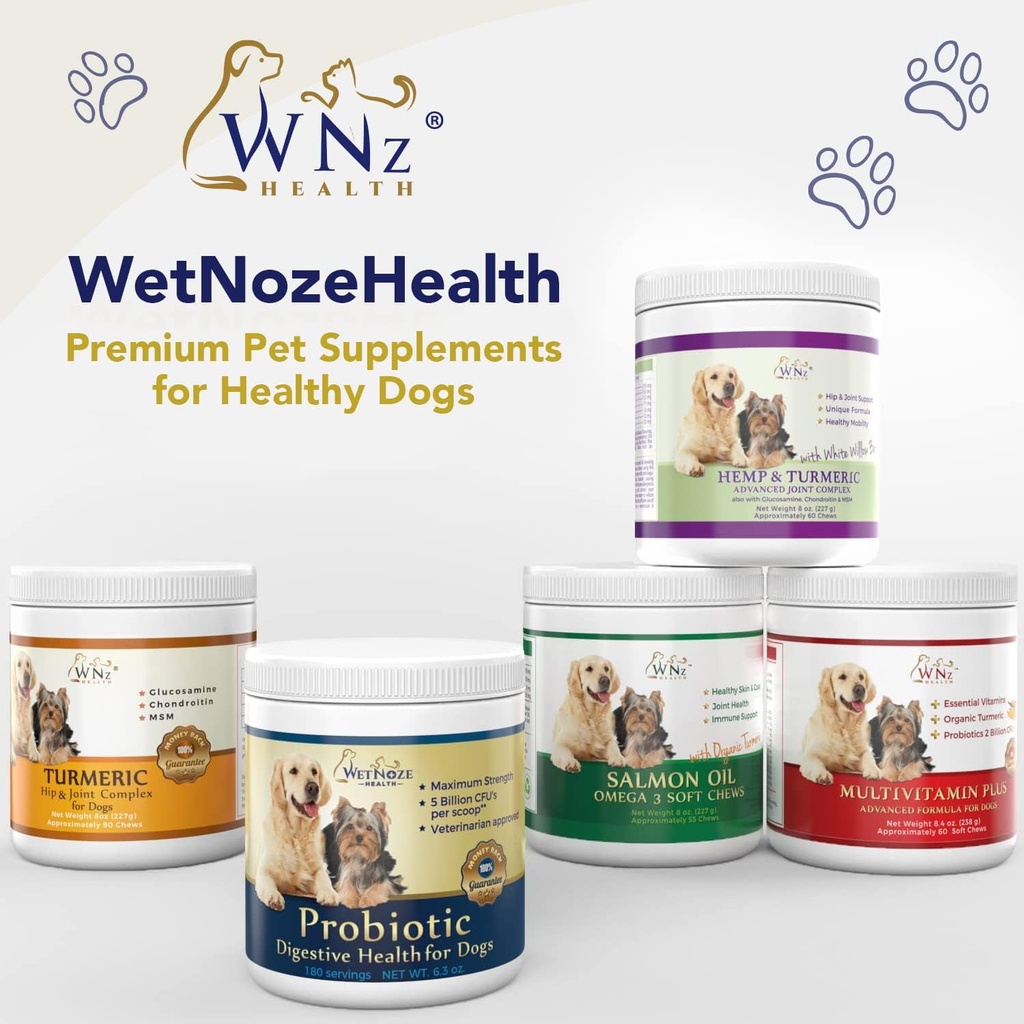 probiotics-for-dogs-digestive-health-chi-6.jpg