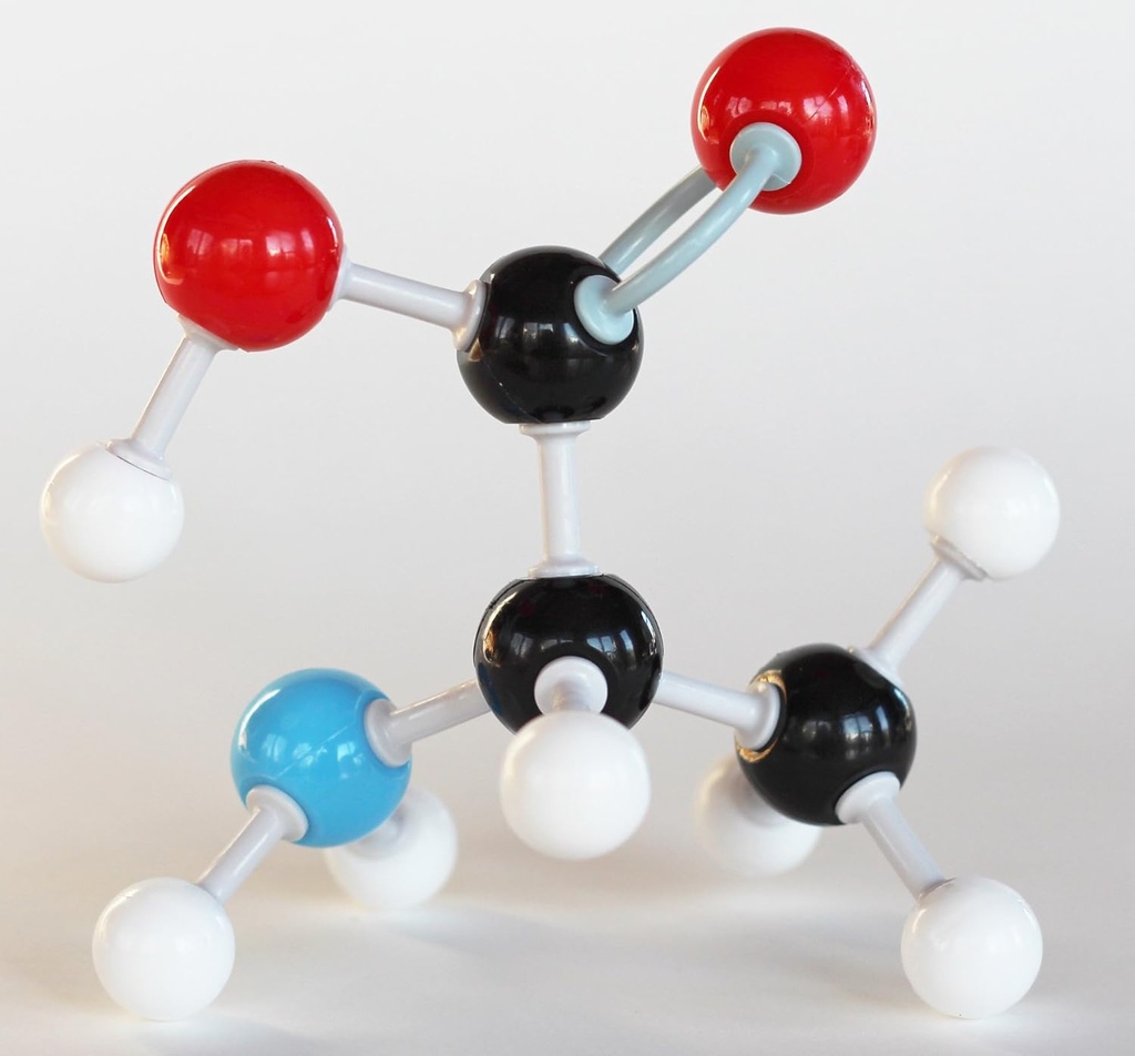 organic-chemistry-molecular-model-studen-4.jpg
