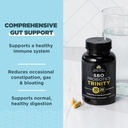 ancient-nutrition-sbo-probiotic-trinity--2.jpg