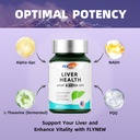 liver-health-non-milk-thistle-formula-de-2.jpg