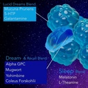 lucid-dreams-deep-sleep---mugwort-herb-5-3.jpg