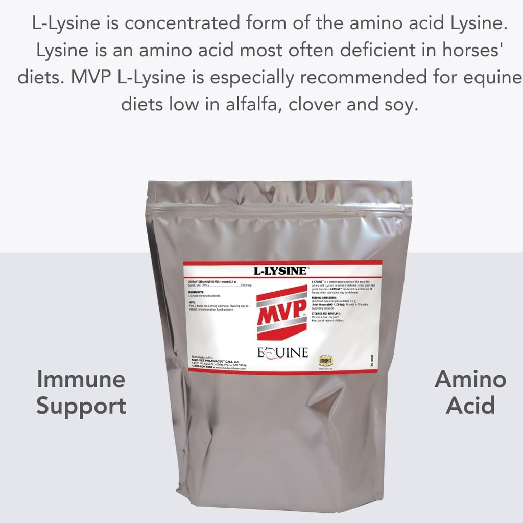 mvp-l-lysine-10lb-for-equine-muscleimmun-2.jpg