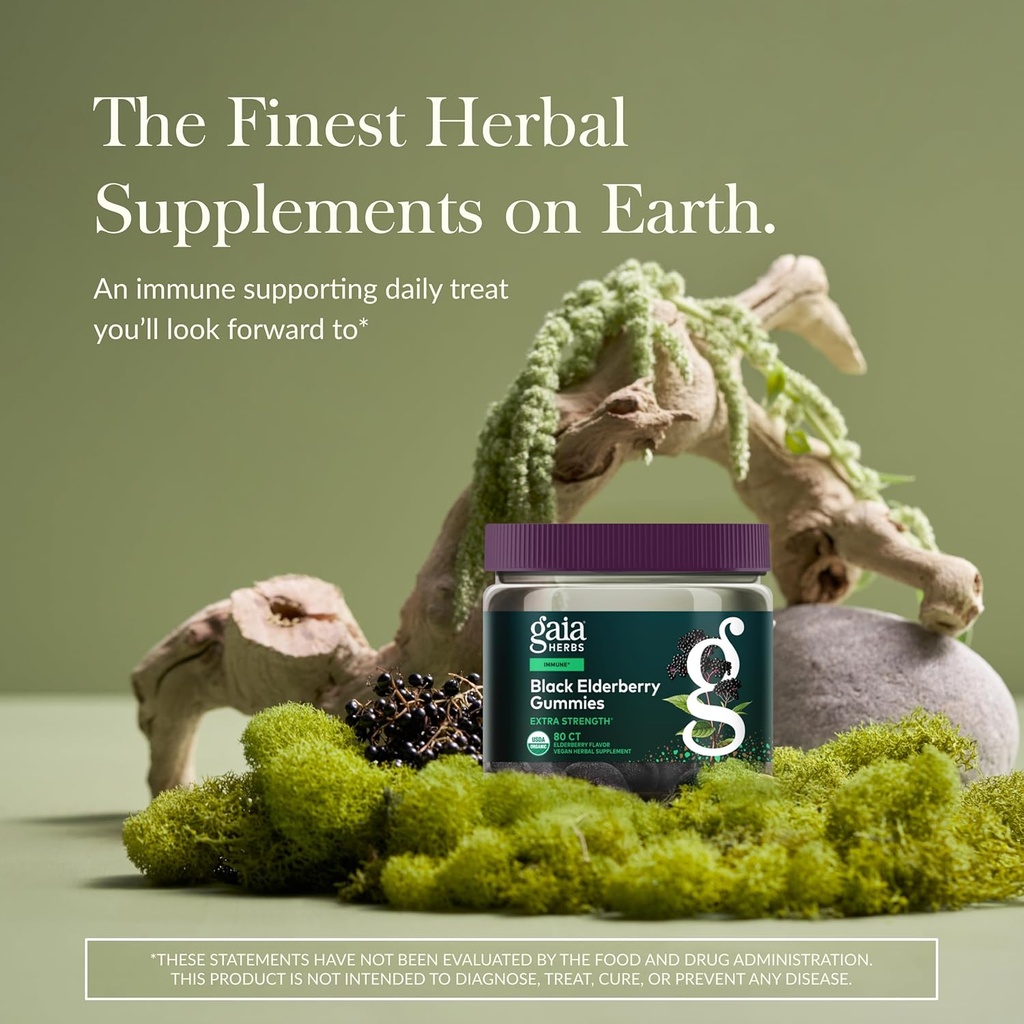 gaia-herbs-black-elderberry-sambucus-nig-2.jpg
