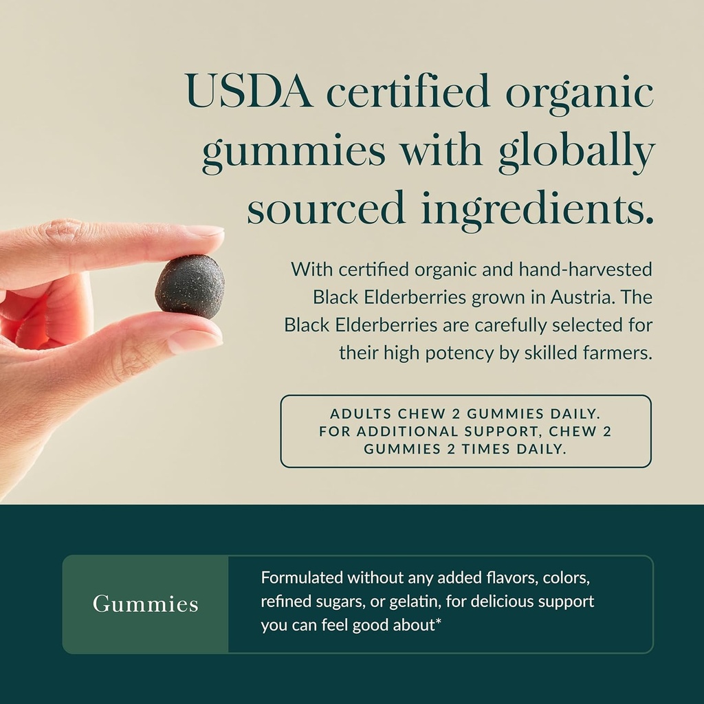gaia-herbs-black-elderberry-sambucus-nig-4.jpg