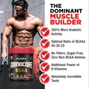 allmax-nutrition-aminocore-bcaa-powder-8-3.jpg