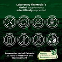 fito-medics-lab---ginkgo-biloba-for-memo-4.jpg