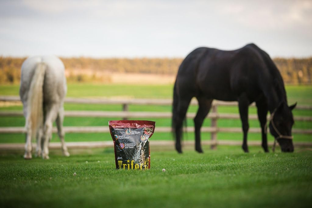 horse-guard-trifecta-10-lb-4-equine-vita-4.jpg