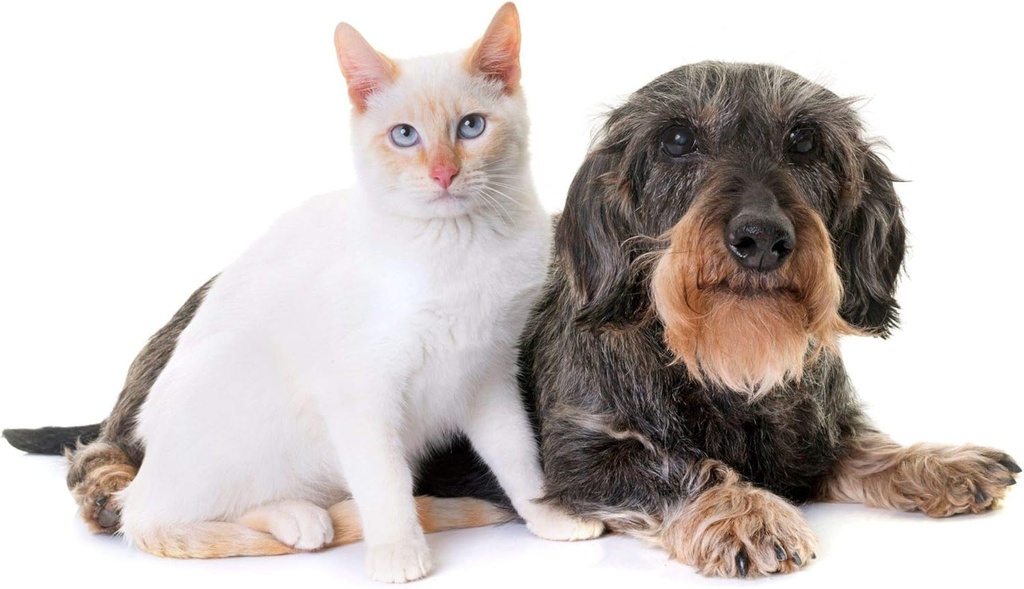 cat-urinary-vitami---pets-urinary-health-3.jpg