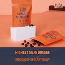 pure-himalayan-shilajit-gummies-for-men--5.jpg