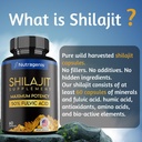 shilajit-3.jpg