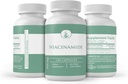 pure-original-ingredients-niacinamide-vi-4.jpg