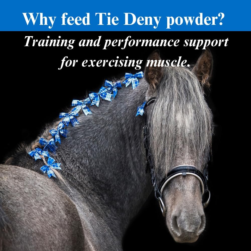 su-per-tie-deny-energy-horse-supplement--4.jpg
