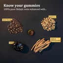 shilajit-gummies-alpha-gummies-for-men-l-3.jpg