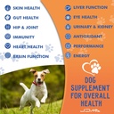 12-in-1-dog-vitamins-probiotics-120-soft-3.jpg