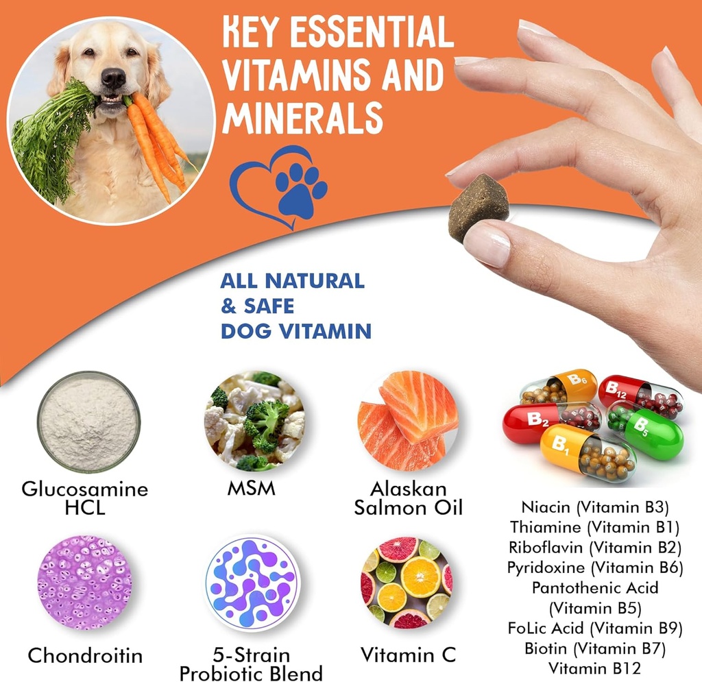 12-in-1-dog-vitamins-probiotics-120-soft-5.jpg