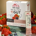 terra-origin-healthy-gut-stick-packs-l-g-2.jpg