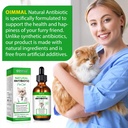 antibiotics-for-cats-premium-cat-antibio-3.jpg