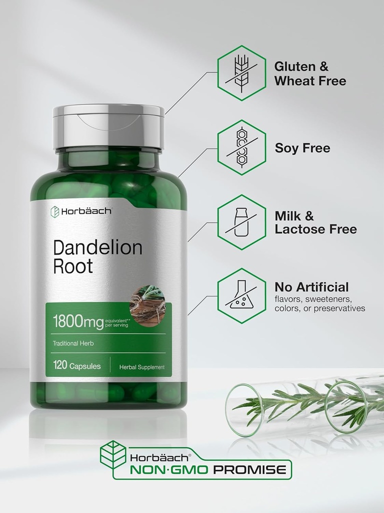 horbaach-dandelion-root-supplement-1800m-5.jpg