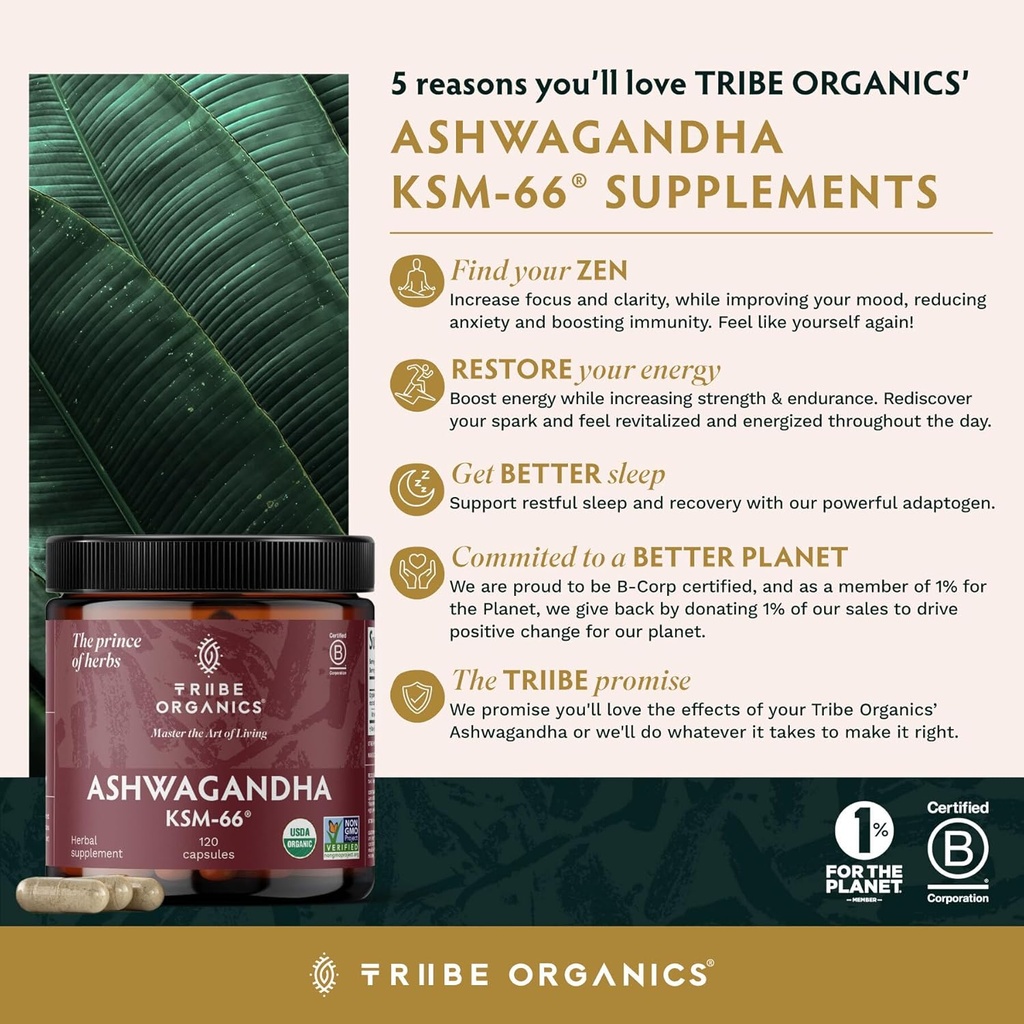 tribe-organics-ashwagandha-ksm-66-pure-o-2.jpg