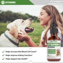 vitamin-e-for-dogs-vitamin-e-dog-vitamin-5.jpg