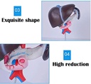 froon-human-organ-model-artificial-liver-6.jpg