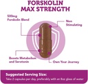 vitamin-bounty-forskolin-maximum-strengt-4.jpg