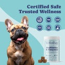 probiotics-for-dogs-dog-probiotics-and-d-4.jpg