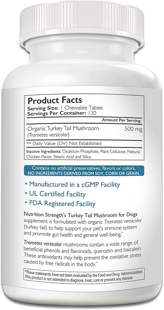 turkey-tail-mushroom-for-dogs-to-support-2.jpg