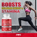 dr-joels-mom-nutrix-coq10-500mg-cellular-6.jpg