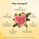 lactogut-probiotics-supplement-for-immun-6.jpg