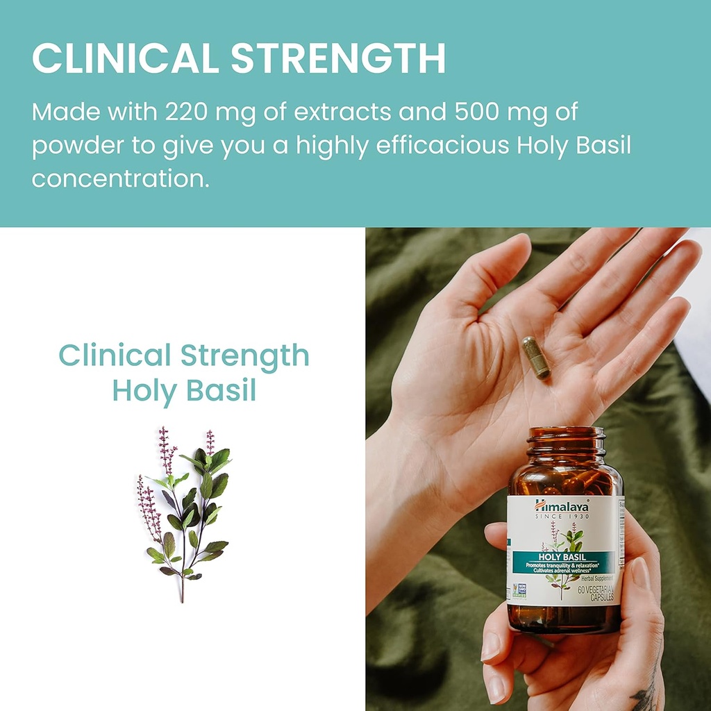 himalaya-holy-basil-60-day-supply---herb-6.jpg