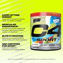 cellucor-c4-sport-pre-workout-powder---n-2.jpg